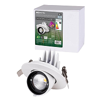 Купить Встраиваемый светодиодный светильник TDM Electric Акцент-1DSL-01-018-NW SQ0369-0403 в Туле