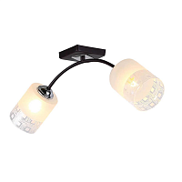 Купить Потолочная люстра Hiper Sally H010-2 в Туле