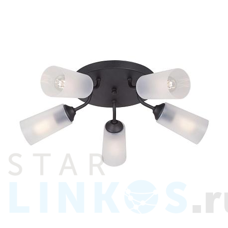 Купить Потолочная люстра Vitaluce V3762-1/5PL за 4 070 руб. в Туле фото 2 Купить с доставкой Потолочная люстра Vitaluce V3762-1/5PL в Туле фото 2