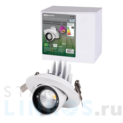Купить с доставкой Встраиваемый светодиодный светильник TDM Electric Акцент-1DSL-01-018-NW SQ0369-0403 в Туле