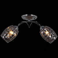 Купить Потолочный светильник Reluce 31326-0.3-02 в Туле