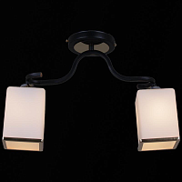 Купить Потолочный светильник Reluce 32303-0.3-02 в Туле