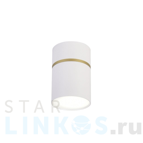 Купить Потолочный светодиодный светильник Favourite Dunia 3067-1C за 2 300 руб. в Туле Купить с доставкой Потолочный светодиодный светильник Favourite Dunia 3067-1C в Туле