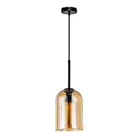 Купить Подвесной светильник Arte Lamp Paio A7015SP-1BK в Туле
