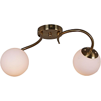 Купить Потолочный светильник Reluce 81724-0.3-02 в Туле