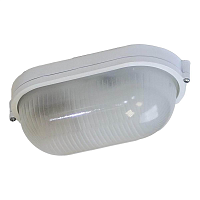 Купить Настенно-потолочный светильник ЭРА Акватермо НБП 04-100-001 Б0048424 в Туле