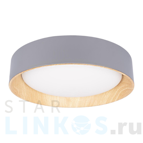 Купить Потолочный светодиодный светильник Loft IT Coin 10202 Grey за 10 600 руб. в Туле Купить с доставкой Потолочный светодиодный светильник Loft IT Coin 10202 Grey в Туле