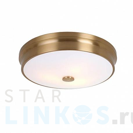 Купить Потолочный светильник Favourite Pannikin 2375-3C за 19 300 руб. в Туле фото 2 Купить с доставкой Потолочный светильник Favourite Pannikin 2375-3C в Туле фото 2