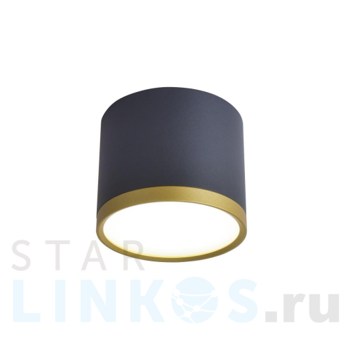 Купить Потолочный светильник Favourite Baral 3081-2C за 2 300 руб. в Туле Купить с доставкой Потолочный светильник Favourite Baral 3081-2C в Туле