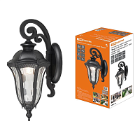 Купить Уличный настенный светильник TDM Electric Вена SQ0330-0203 в Туле