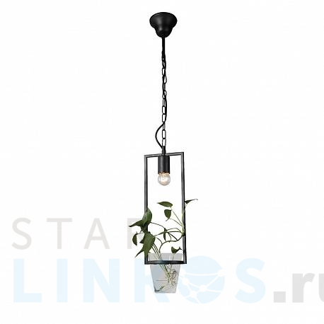 Купить Подвесной светильник Favourite Situla 1976-1P за 9 900 руб. в Туле фото 2 Купить с доставкой Подвесной светильник Favourite Situla 1976-1P в Туле фото 2