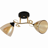 Купить Потолочный светильник Reluce 01321-0.3-02 FGD+BK в Туле