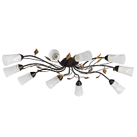 Купить Потолочная люстра MW-Light Восторг 242015410 в Туле