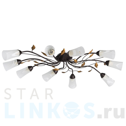 Купить Потолочная люстра MW-Light Восторг 242015410 за 19 310 руб. в Туле Купить с доставкой Потолочная люстра MW-Light Восторг 242015410 в Туле