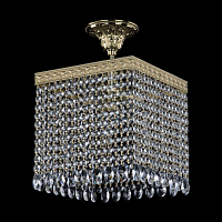 Купить Потолочная люстра Bohemia Ivele 19202/25IV G в Туле