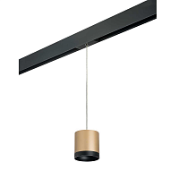 Купить Трековый светильник Lightstar Rullo (213490+595887+203487) PRORP34903487 в Туле