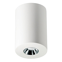 Купить Потолочный светодиодный светильник Elvan NLS-210067-4.2W-WW-WhCh в Туле