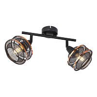 Купить Спот Globo Bellona 54020-2 в Туле