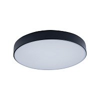 Купить Потолочный светодиодный светильник Loft IT Axel 10002/24 black в Туле