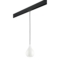 Купить Трековый светильник Lightstar Pentola (803030+595007) PRO803030 в Туле