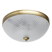 Купить Потолочный светильник MW-Light Афродита 317015004 в Туле