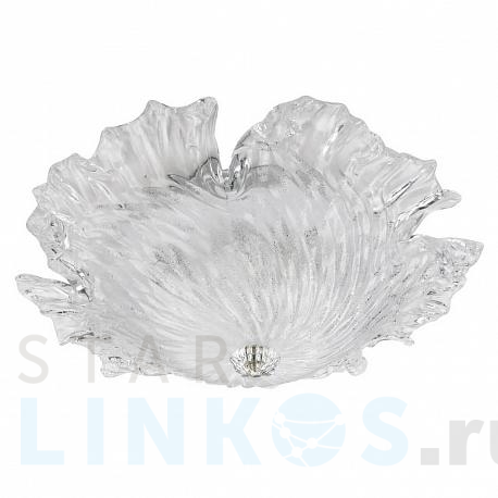 Купить Потолочный светильник Lightstar Murano 601050 за 25 000 руб. в Туле фото 2 Купить с доставкой Потолочный светильник Lightstar Murano 601050 в Туле фото 2