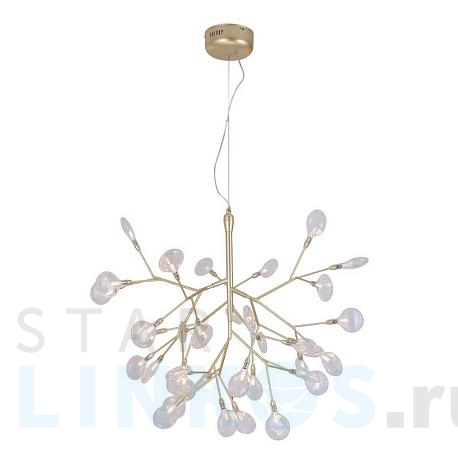 Купить Подвесная люстра Crystal Lux Evita SP36 Gold/Transparent за 42 200 руб. в Туле фото 2 Купить с доставкой Подвесная люстра Crystal Lux Evita SP36 Gold/Transparent в Туле фото 2