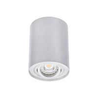 Купить Точечный светильник Kanlux BORD DLP-50-AL 22550 в Туле