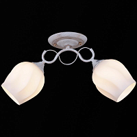 Купить Потолочный светильник Reluce 31379-0.3-02 в Туле