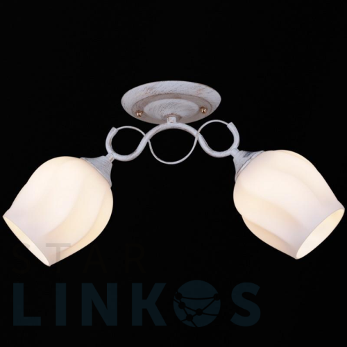 Купить Потолочный светильник Reluce 31379-0.3-02 за 1 540 руб. в Туле Купить с доставкой Потолочный светильник Reluce 31379-0.3-02 в Туле