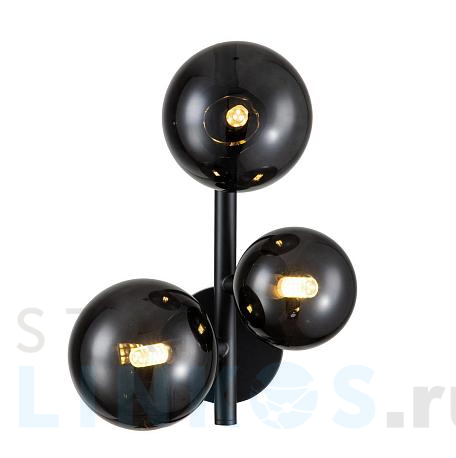 Купить Бра Indigo Molecola 11018/3W Black V000198 за 12 590 руб. в Туле фото 2 Купить с доставкой Бра Indigo Molecola 11018/3W Black V000198 в Туле фото 2