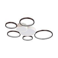 Купить Потолочный светодиодный светильник Lumion Ledio Norbert 5254/99CL в Туле