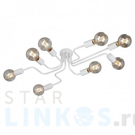 Купить Потолочная люстра Vitaluce V4196-0/8PL за 5 950 руб. в Туле фото 2 Купить с доставкой Потолочная люстра Vitaluce V4196-0/8PL в Туле фото 2