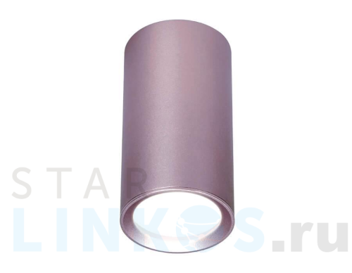 Купить Потолочный светильник Ambrella light Techno Spot TN220 за 631 руб. в Туле Купить с доставкой Потолочный светильник Ambrella light Techno Spot TN220 в Туле