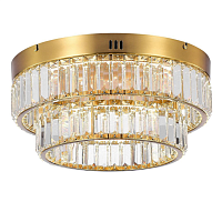 Купить Потолочный светодиодный светильник MyFar Irina MR2011-2CL в Туле