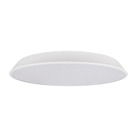 Купить Потолочный светодиодный светильник Loft IT Brim 10226 White в Туле