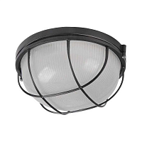 Купить Настенно-потолочный светильник IEK НПП LNPP0-1302-1-060-K02 в Туле