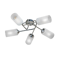 Купить Потолочная люстра Vitaluce V4909-9/5PL в Туле