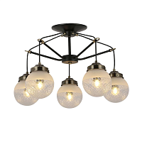 Купить Потолочная люстра Evoluce Stricce SLE110302-05 в Туле