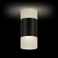 Купить Потолочный светодиодный светильник Ritter Kassel 52066 5 в Туле