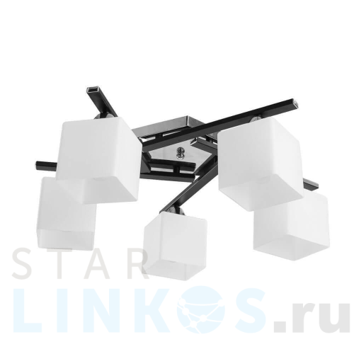 Купить Потолочная люстра Arte Lamp 52 A8165PL-5BK за 9 990 руб. в Туле Купить с доставкой Потолочная люстра Arte Lamp 52 A8165PL-5BK в Туле