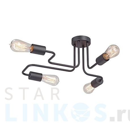 Купить Потолочная люстра Vitaluce V4196-1/4PL за 3 396 руб. в Туле фото 2 Купить с доставкой Потолочная люстра Vitaluce V4196-1/4PL в Туле фото 2