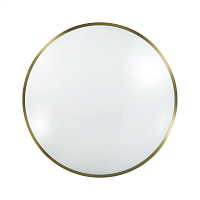 Купить Настенно-потолочный светодиодный светильник Sonex Pale Lota bronze 2089/CL в Туле