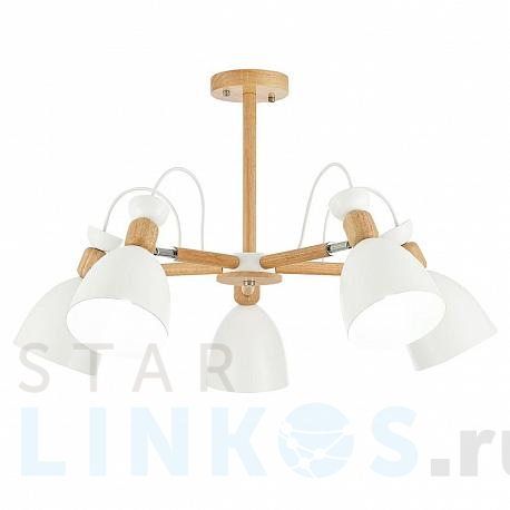 Купить Потолочная люстра Evoluce Balcamo SLE103802-05 за 14 130 руб. в Туле фото 2 Купить с доставкой Потолочная люстра Evoluce Balcamo SLE103802-05 в Туле фото 2