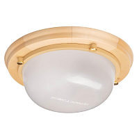 Купить Настенно-потолочный светильник TDM Electric Терма НББ 03-60-013 SQ0303-0442 в Туле