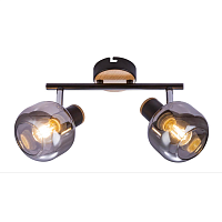 Купить Спот Rivoli Dorkas 7026-702 Б0047097 в Туле