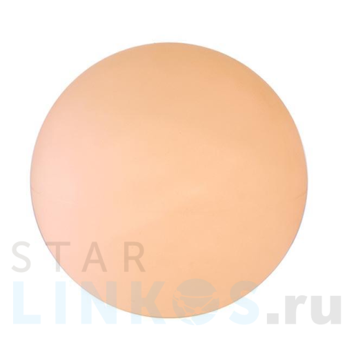 Купить Уличный светильник Deko-Light Kugelleuchte 45 836014 за 31 498 руб. в Туле Купить с доставкой Уличный светильник Deko-Light Kugelleuchte 45 836014 в Туле