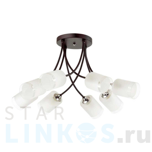 Купить Потолочная люстра Lumion Paula Comfi 4533/8C за 7 500 руб. в Туле Купить с доставкой Потолочная люстра Lumion Paula Comfi 4533/8C в Туле