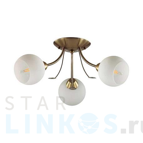 Купить Потолочная люстра Lumion Comfi Tula 5265/3C за 2 560 руб. в Туле фото 2 Купить с доставкой Потолочная люстра Lumion Comfi Tula 5265/3C в Туле фото 2