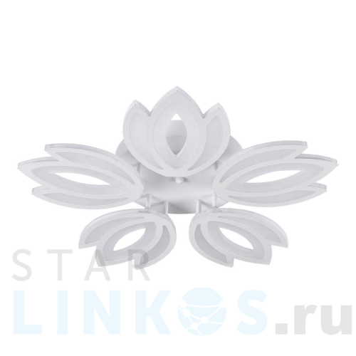 Купить Потолочная светодиодная люстра Natali Kovaltseva Led Lamps 81124 за 10 194 руб. в Туле Купить с доставкой Потолочная светодиодная люстра Natali Kovaltseva Led Lamps 81124 в Туле